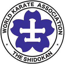 仮横山道場サイト